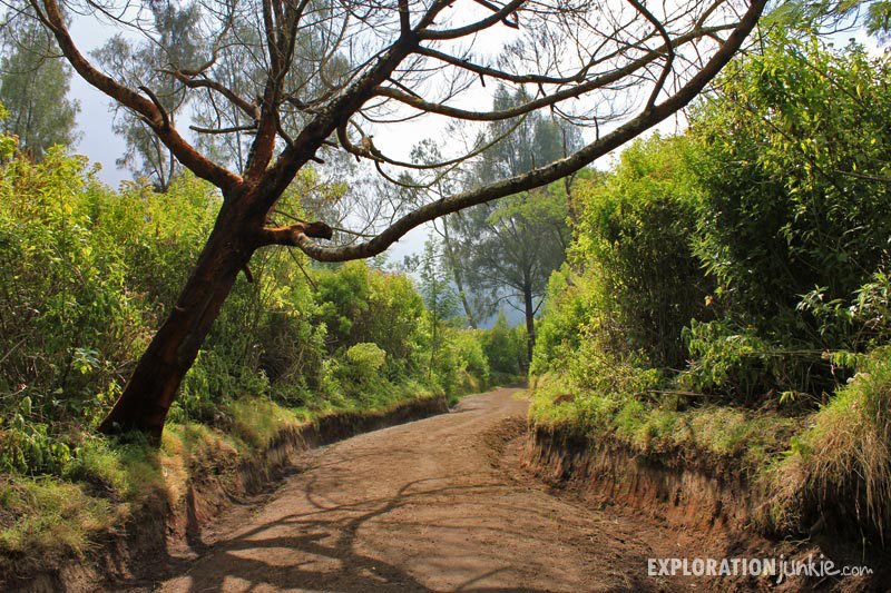 Ijen Crater Path