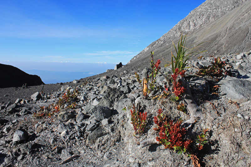 Merapi Volcano
