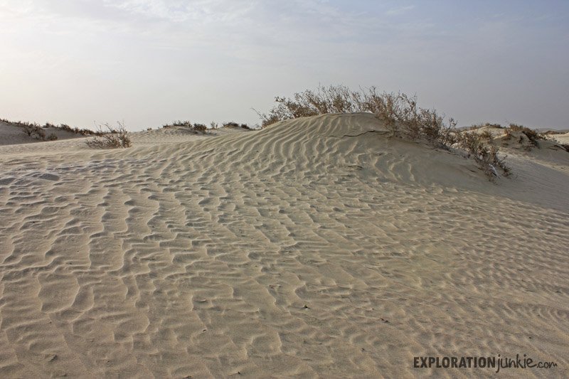 qatar desert