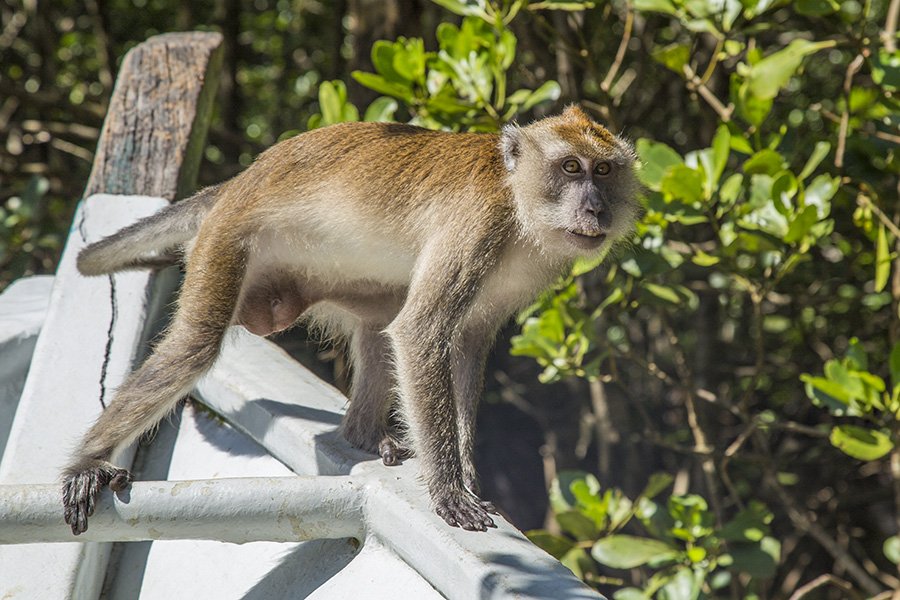 Kilim Geoforest Park