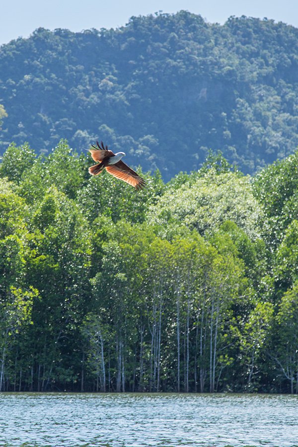 Kilim Geoforest Park