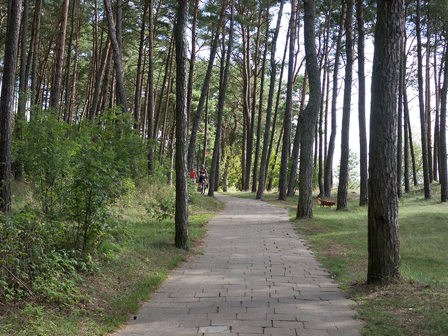 Curonian Spit Lithuania
