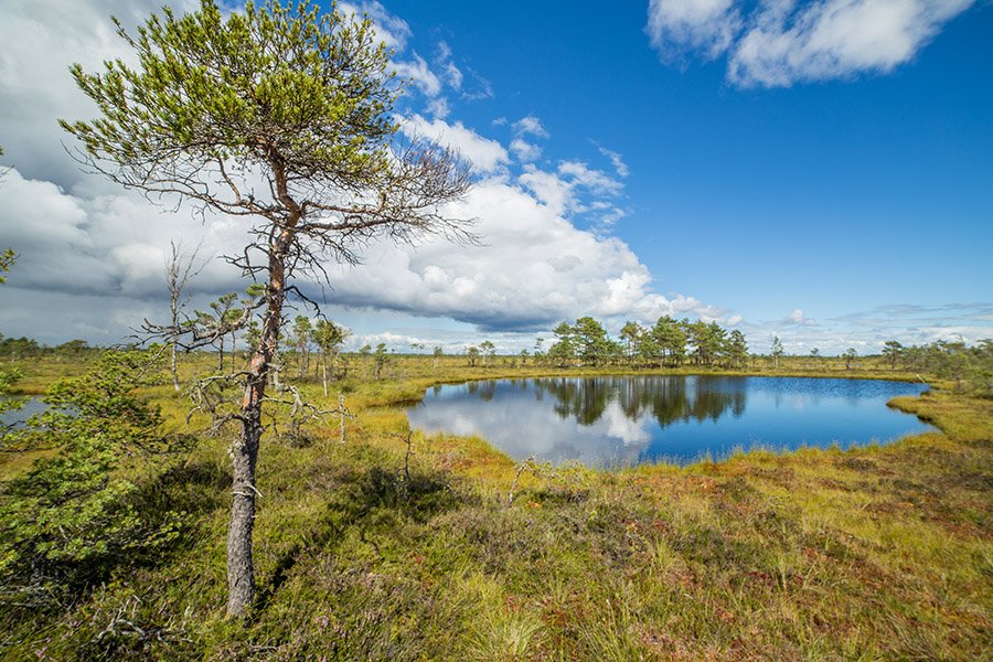 Soomaa National Park