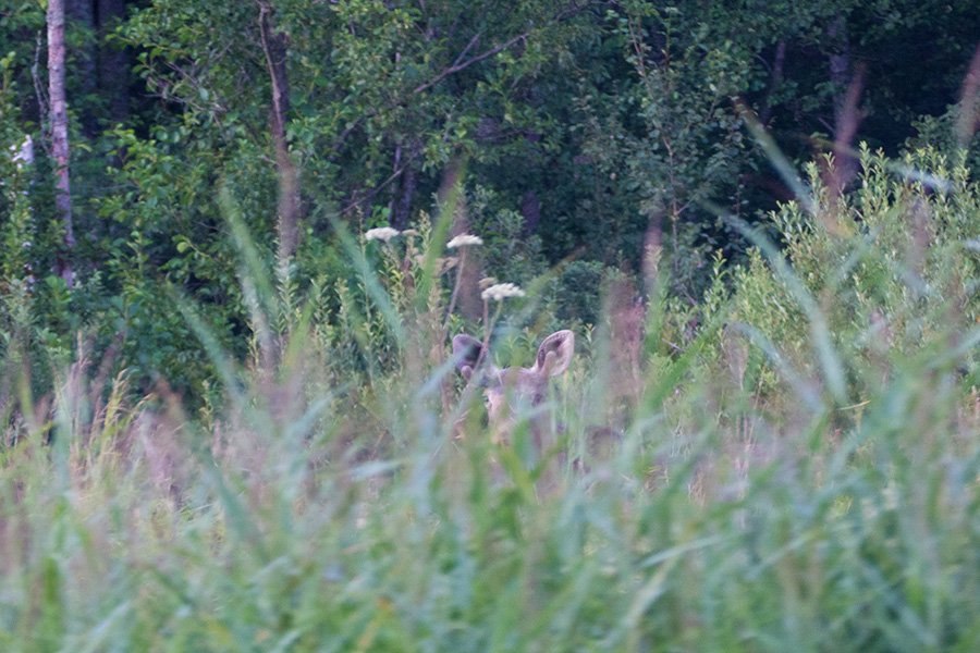 Soomaa National Park