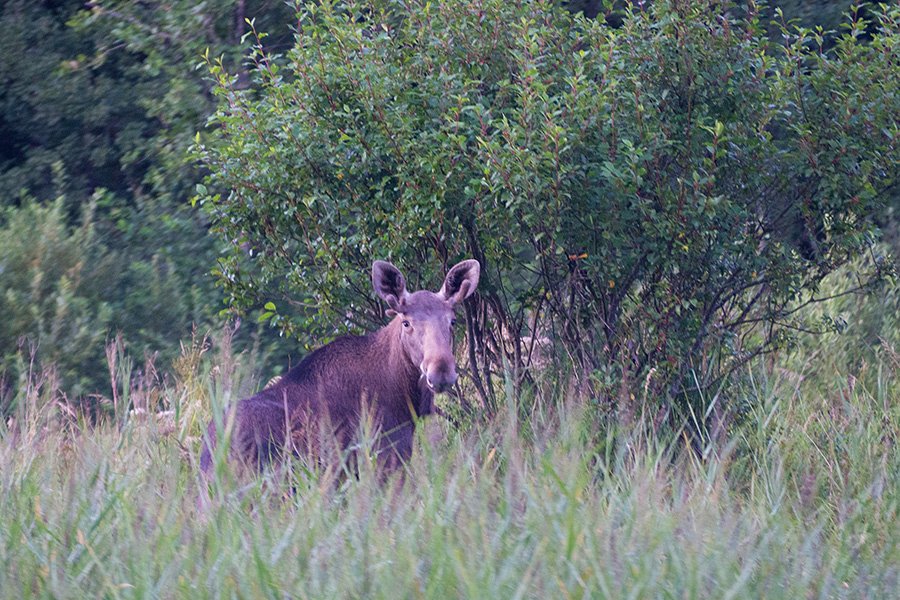 Soomaa National Park