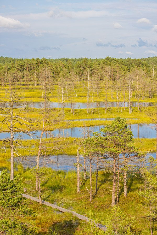 Lahemaa National Park