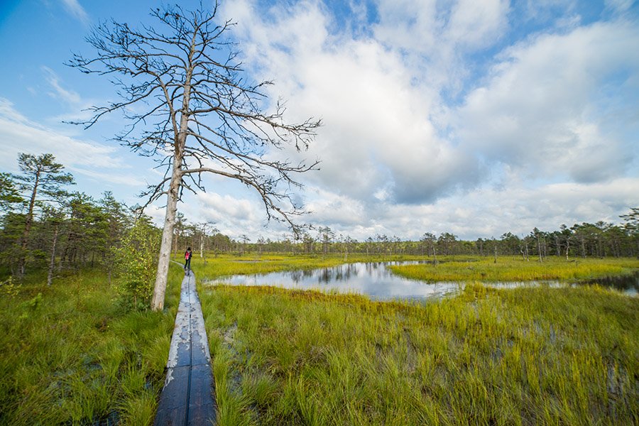 Lahemaa National Park
