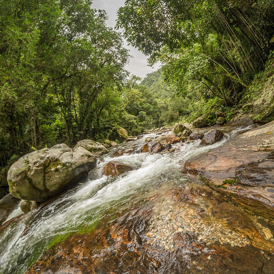 Lost City Trek Rio Buritaca