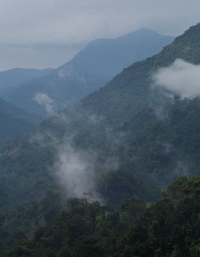 Sierra Nevada de Santa Marta