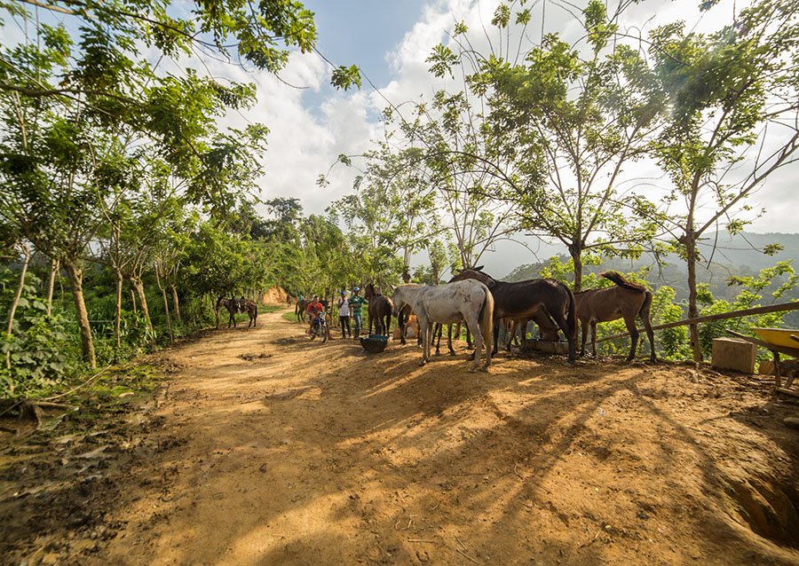 Lost City Trek day 1