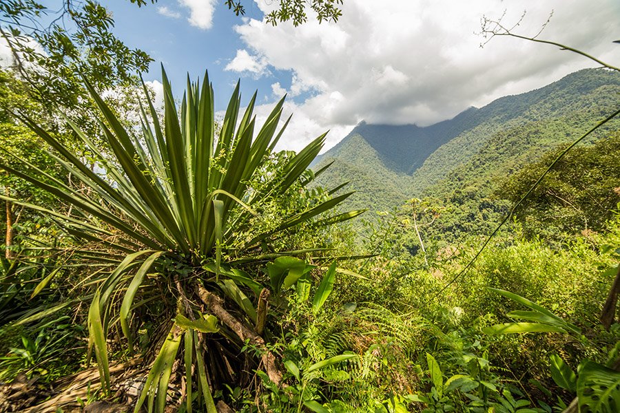 Lost City Trek day 2