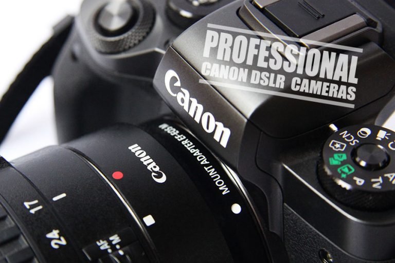 Best Canon Camera for Professional Photography