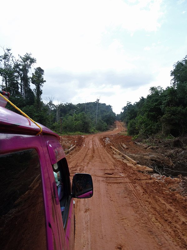 how to get to kaieteur falls