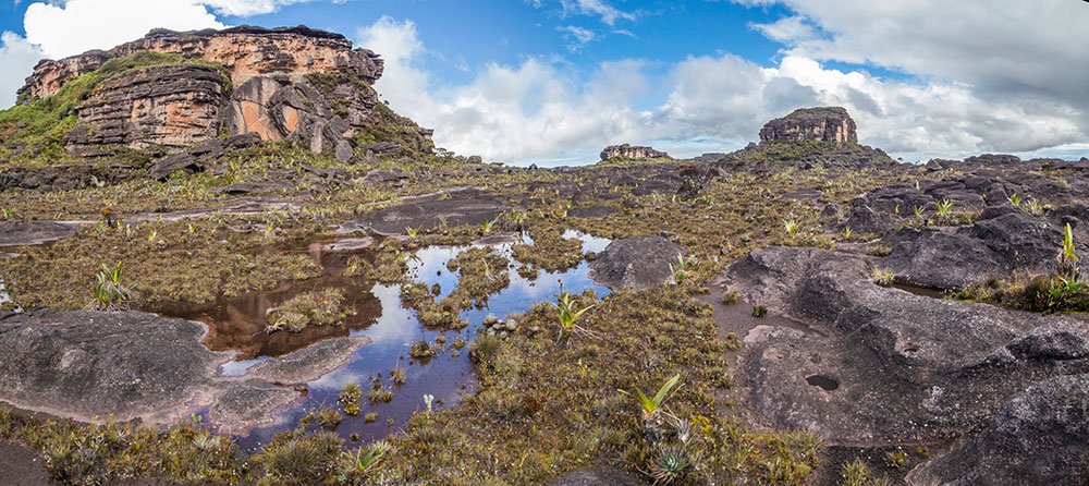 Tepui Summit