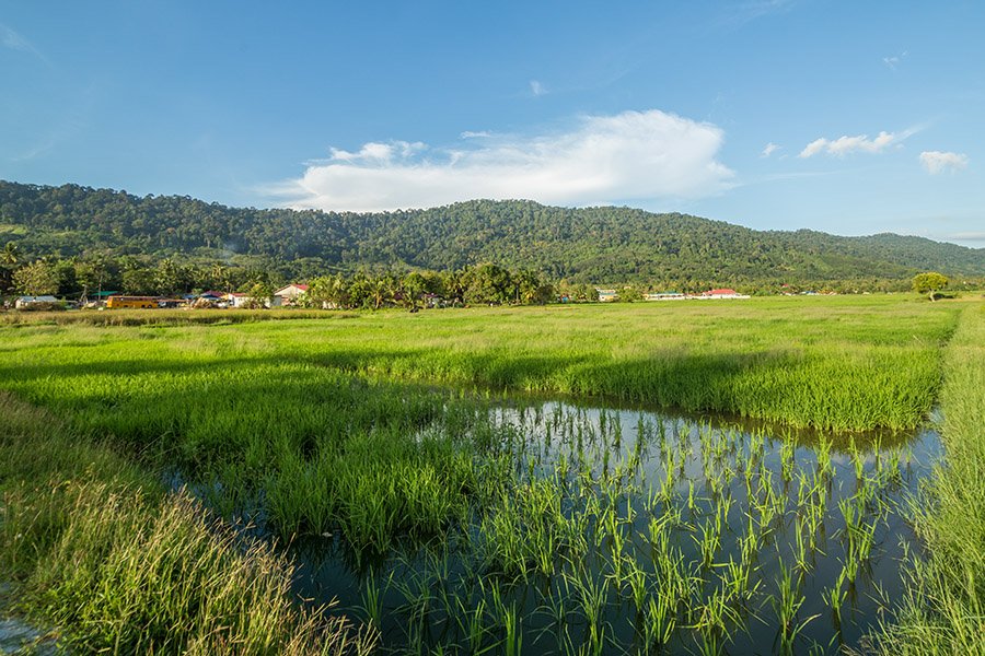Langkawi Countryside
