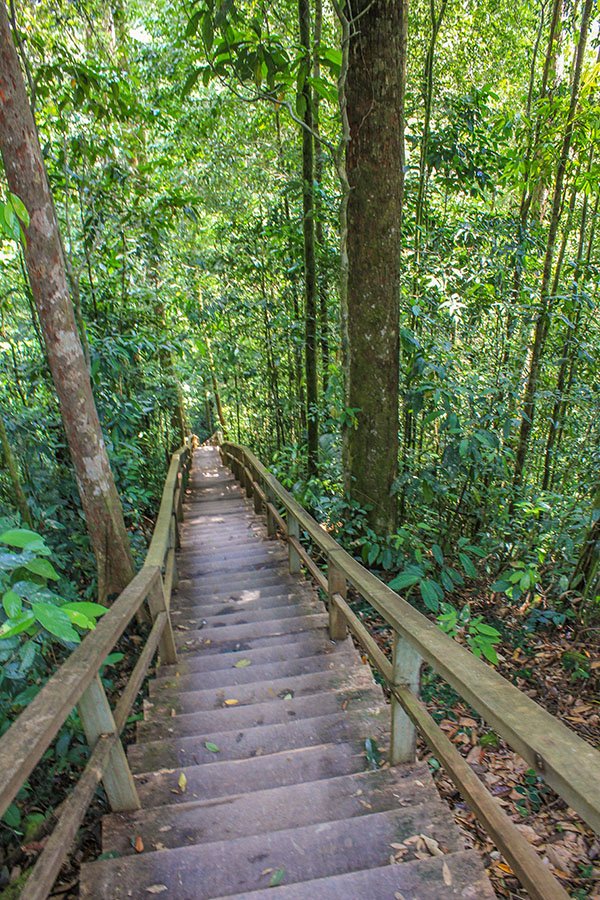 Ulu Temburong National Park