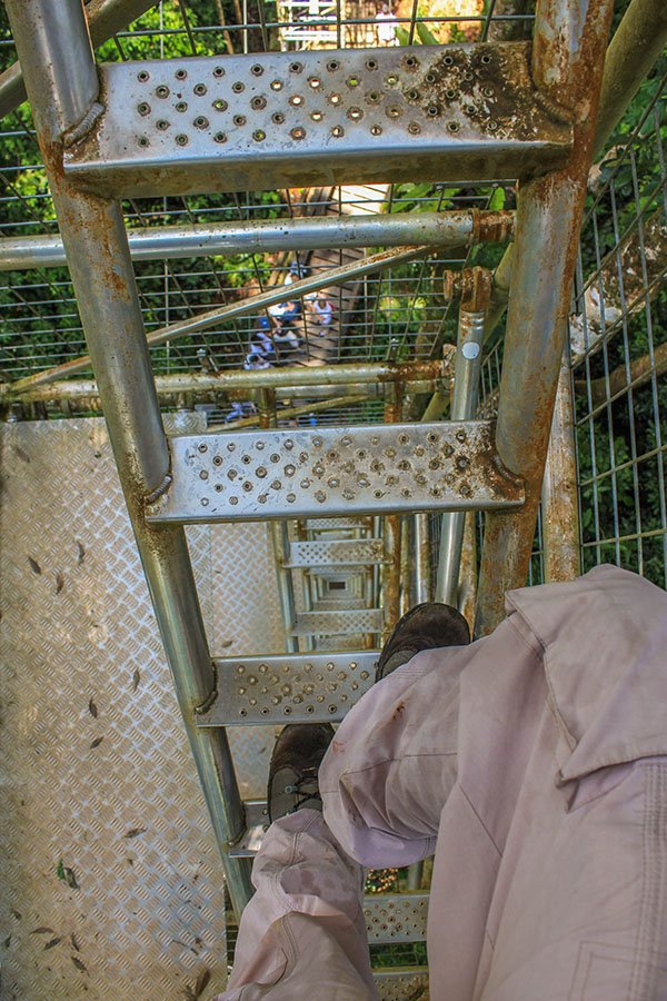 Ulu Temburong National Park