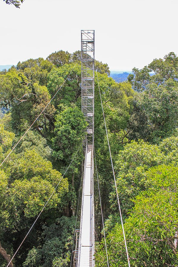 Ulu Temburong National Park