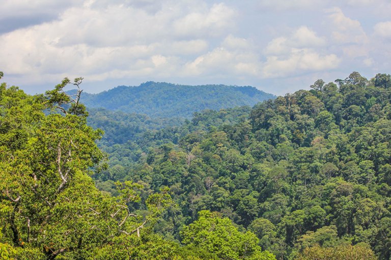 Ulu Temburong National Park