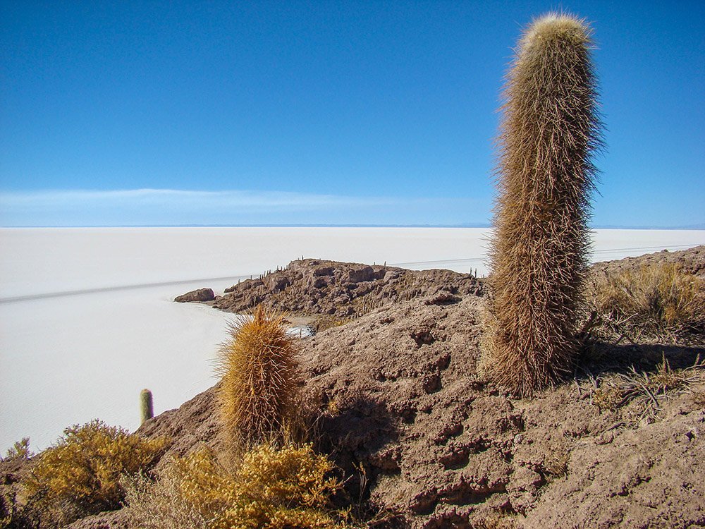 Uyuni - Isla Incahuasi