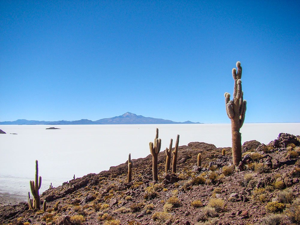 Salar de Uyuni Isla del Pescado