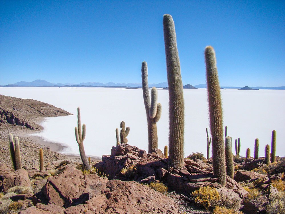 Salar de Uyuni Isla del Pescado