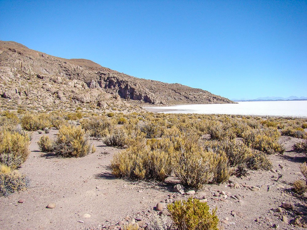 Salar de Uyuni Isla del Pescado