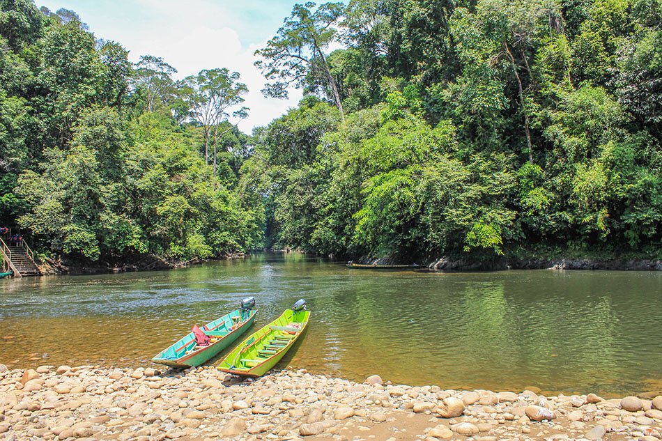 Ulu Temburong National Park
