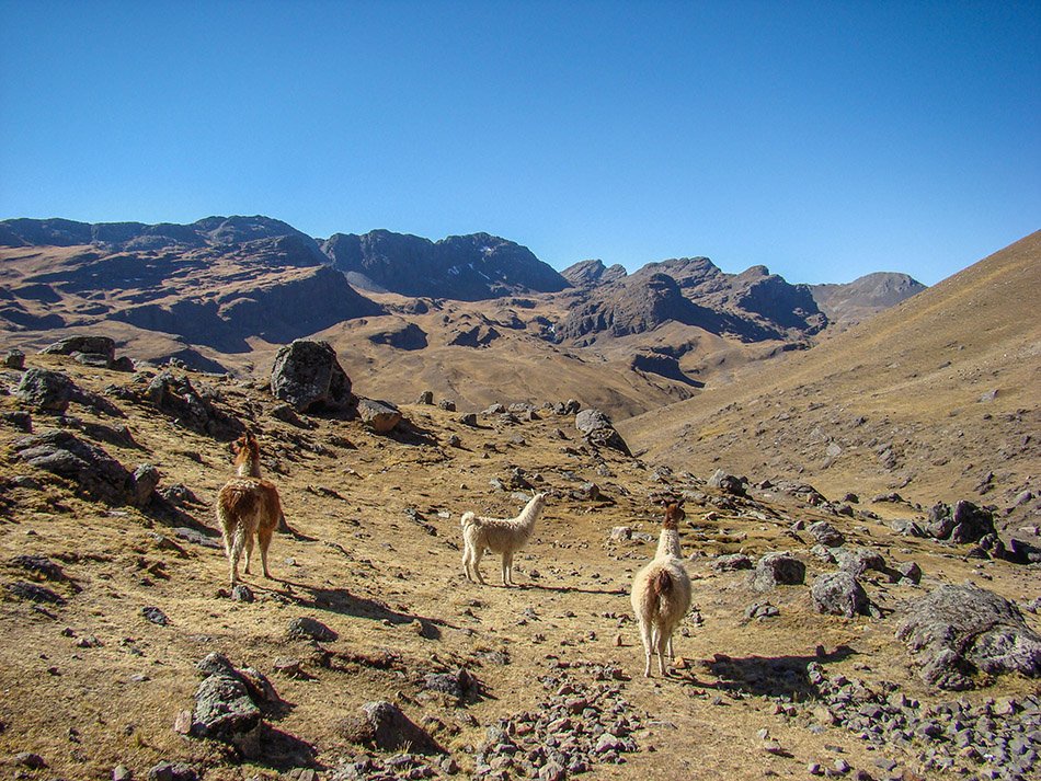Cerro Tunari Hike way down