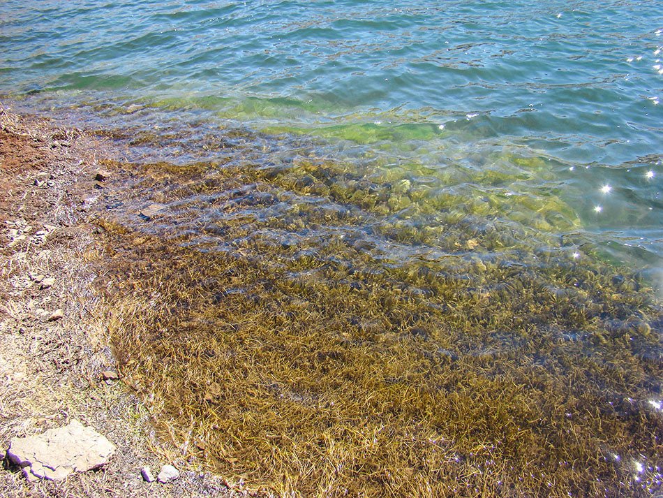 Cerro Tunari Hike way down