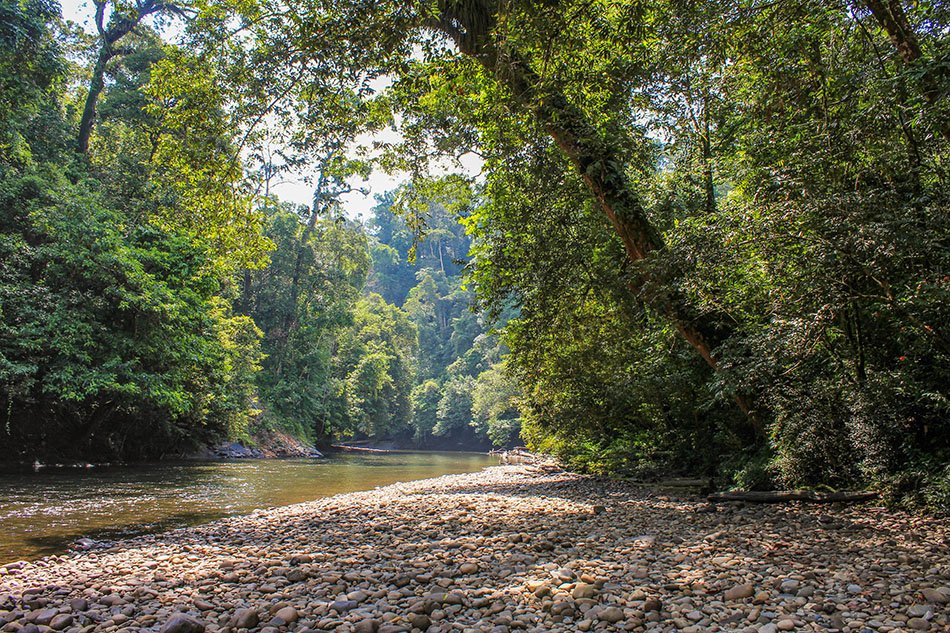 Ulu Temburong River