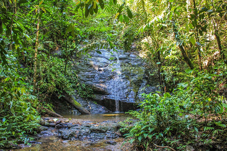 Ulu Temburong National Park Waterfall