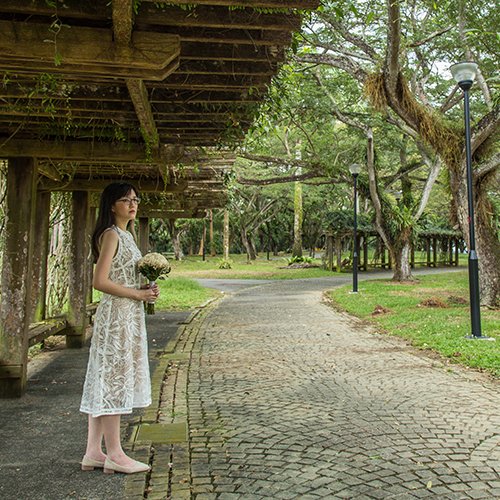 Pre-wedding Photos Singapore