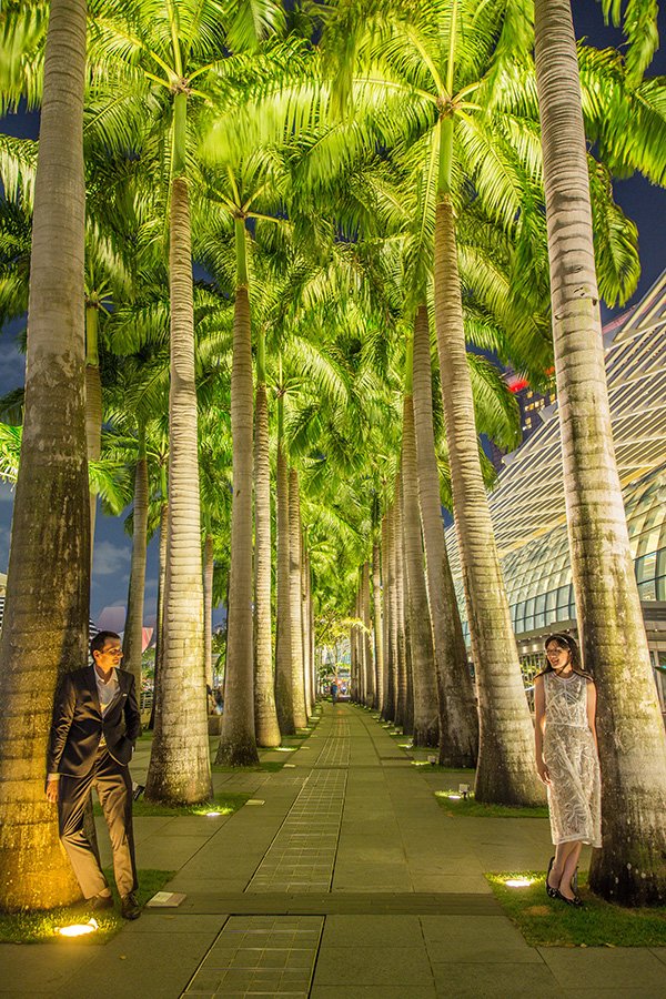 Pre-wedding Photos Singapore