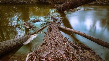 river strainer thumb