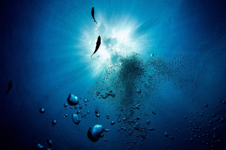 ¿Hasta Qué Profundidad Puedes Bucear?