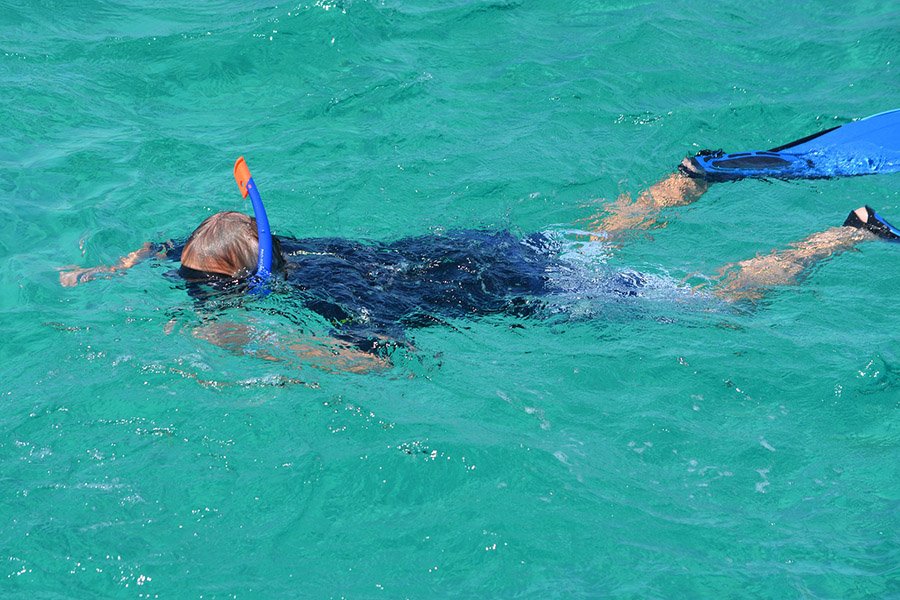 Cómo funciona un snorkel - Guía