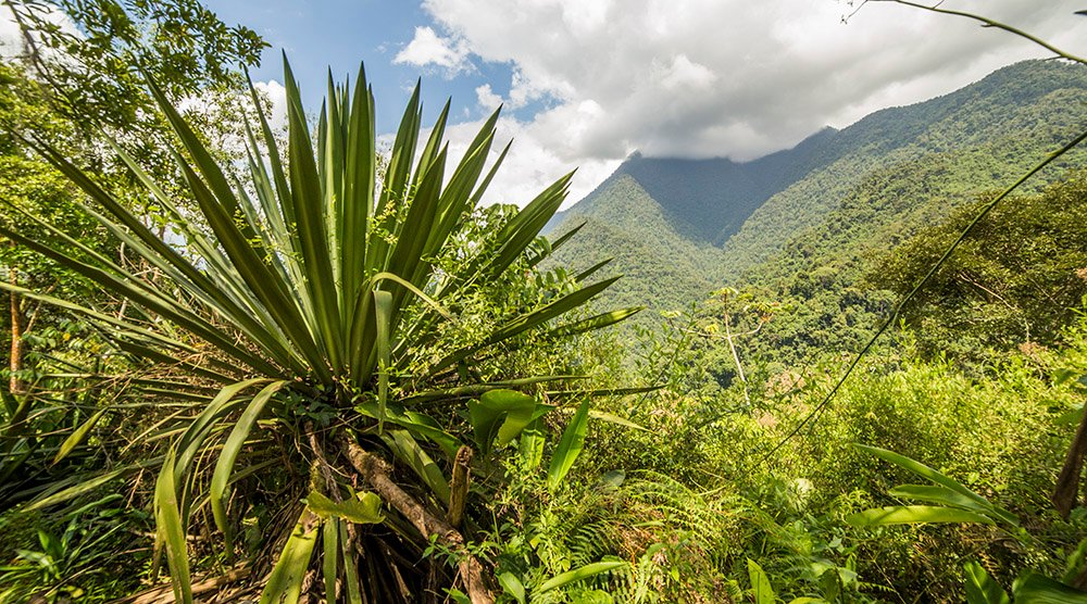 Sierra Nevada de Santa Marta