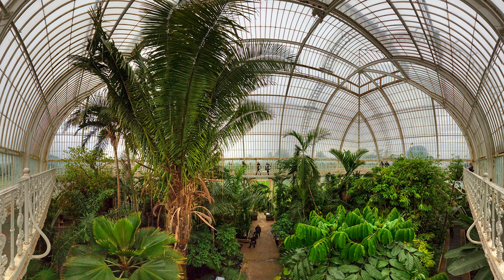 Kew Gardens