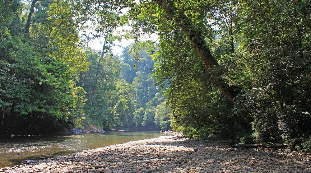 Ulu Temburong National Park