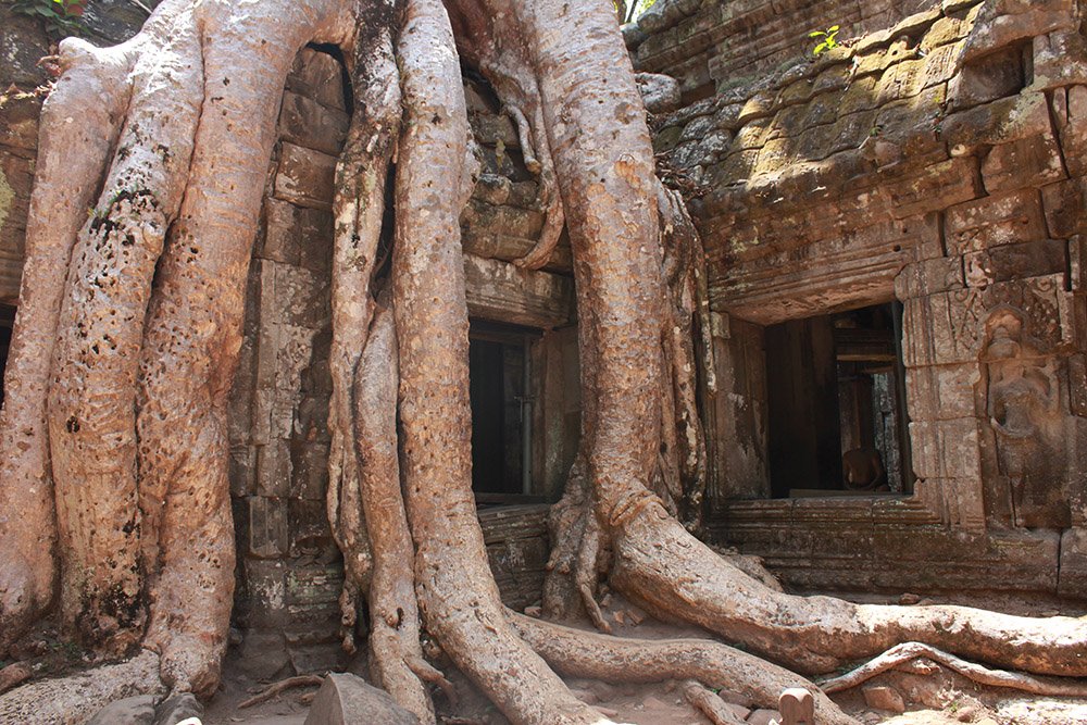 Ta Prohm