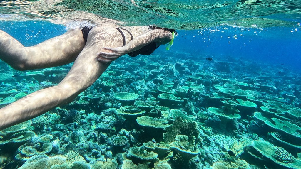 Snorkeling