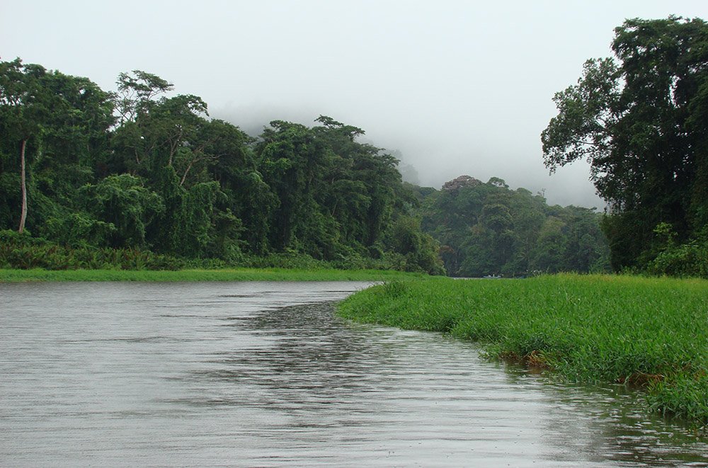 Costa Rica - Tortuguero NP