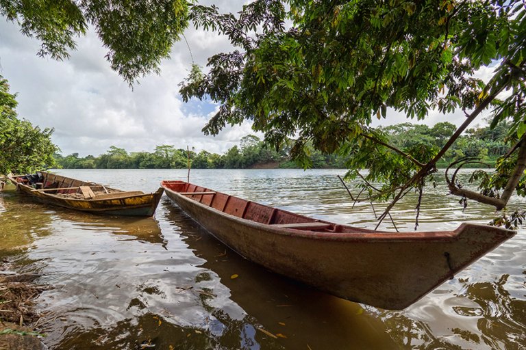 Where did the Mosquito Coast Get Its Name? – All About The Mosquitia