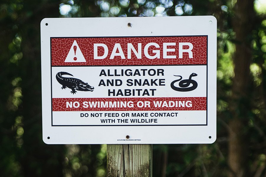 Alligator danger sign