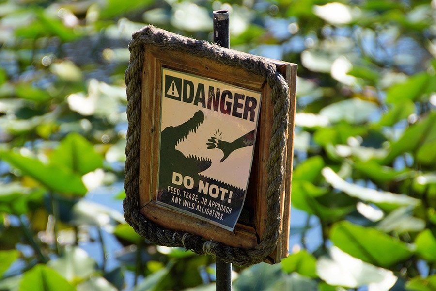 Alligator danger sign 2