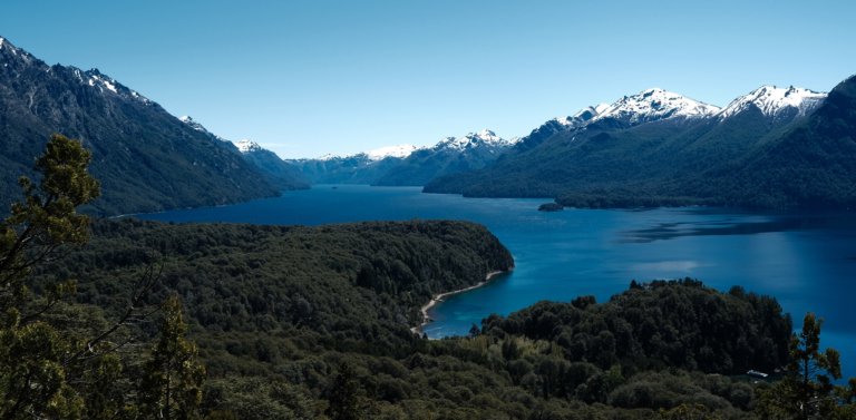 12 Fascinating Wild Animals in Argentina