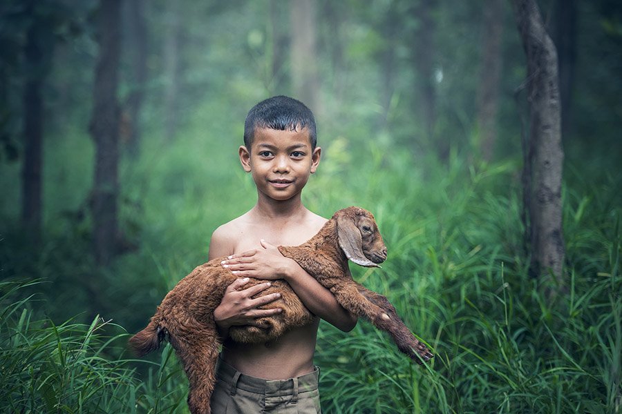 Boy with cute baby goat