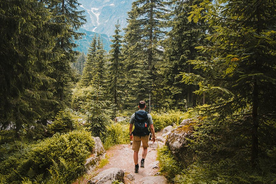 Hiker in the mountains