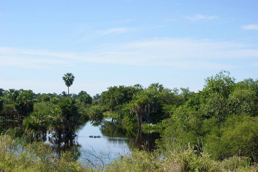 Paraguay - Wetlands in the Paraguayan Pantanal